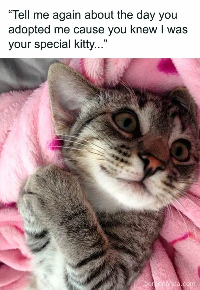 So Adorable