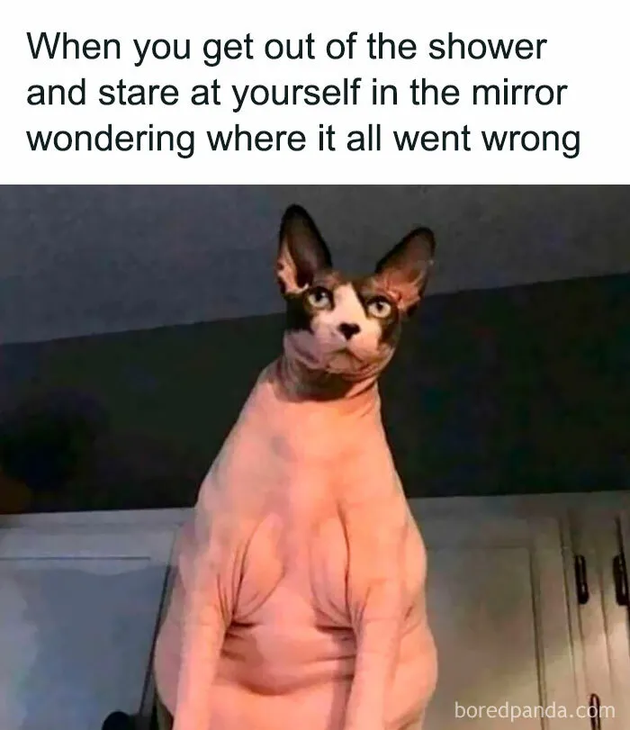 Laugh Away The Fatigue Of Parenting With These 50 Memes For Parents