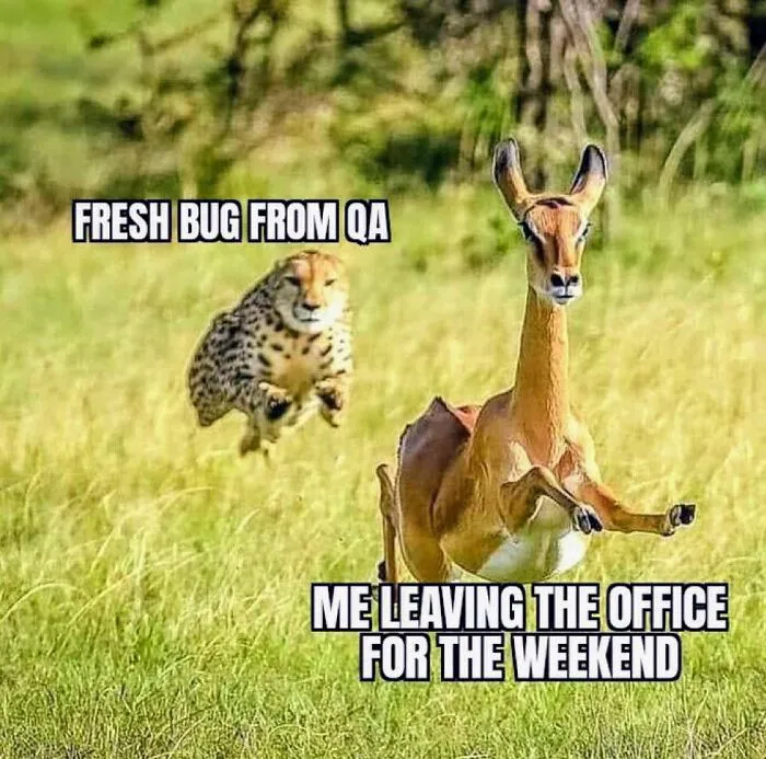 50 Funny Memes Programmers Created When They Weren’t Coding