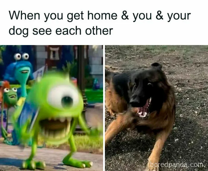 50 Hilariously Relatable Memes To Take Your Mind Off The Horrors Of The World (New Pics)