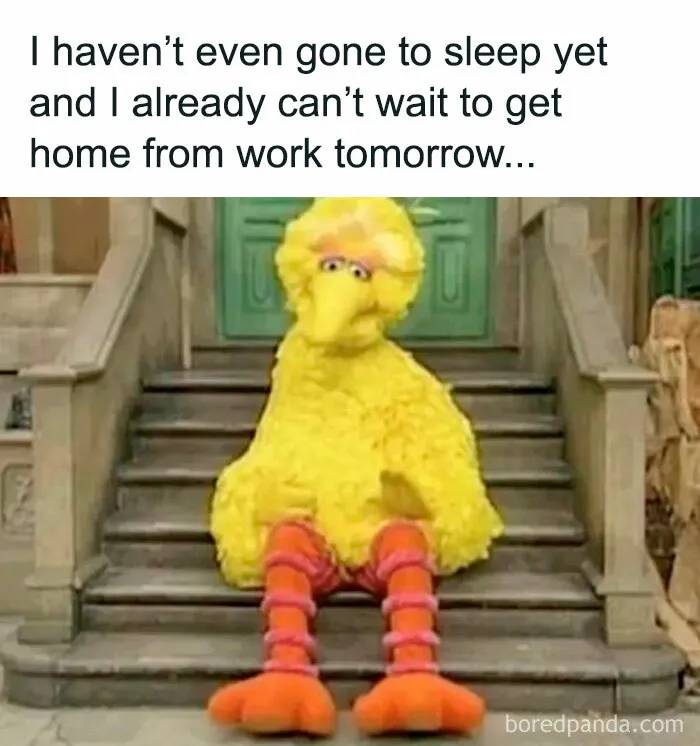 50 Hilariously Relatable Memes To Take Your Mind Off The Horrors Of The World (New Pics)
