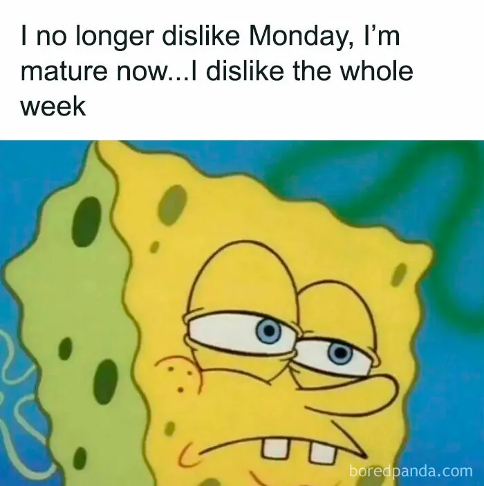 50 Hilariously Relatable Memes To Take Your Mind Off The Horrors Of The World (New Pics)