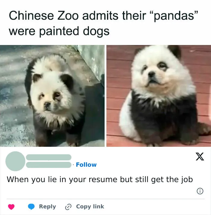 50 Hilariously Relatable Memes To Take Your Mind Off The Horrors Of The World (New Pics)