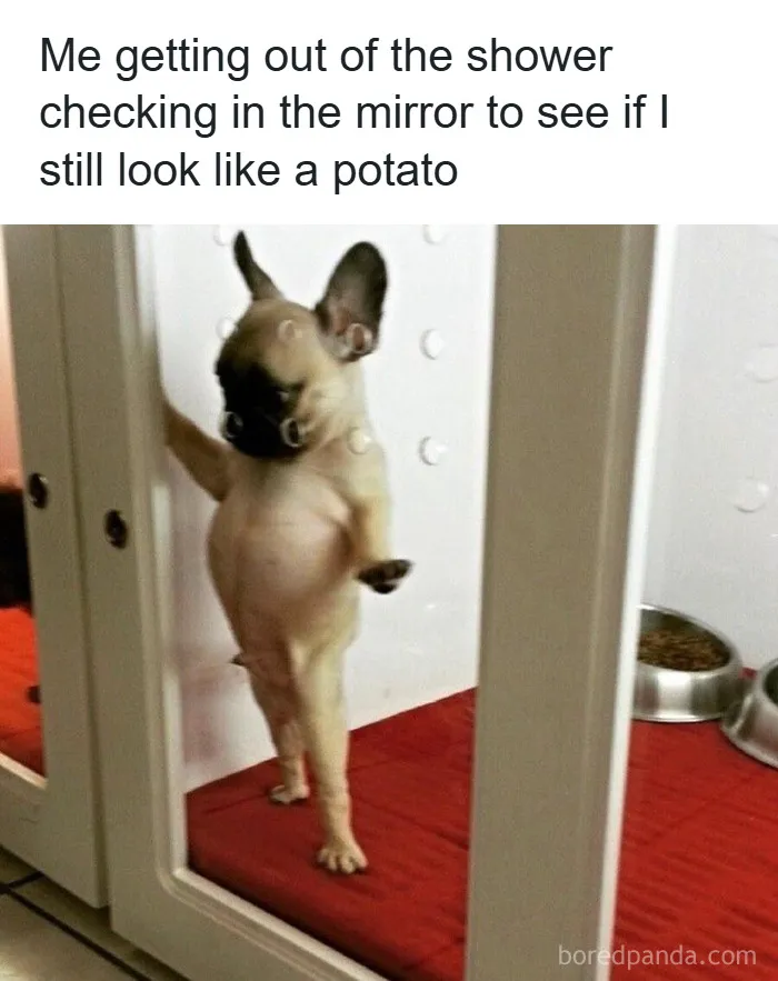 50 Hilariously Relatable Memes To Take Your Mind Off The Horrors Of The World (New Pics)