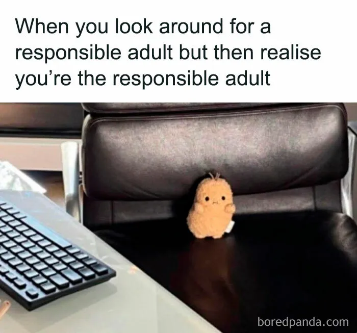 50 Hilariously Relatable Memes To Take Your Mind Off The Horrors Of The World (New Pics)