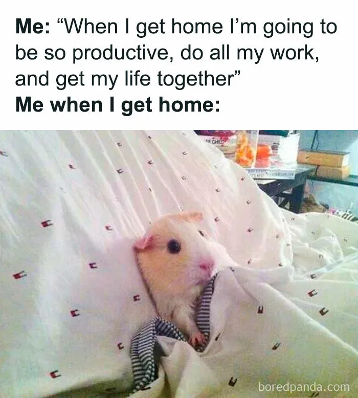 These 50 Funny Posts Accurately Voice The Thoughts And Feelings Of All Women