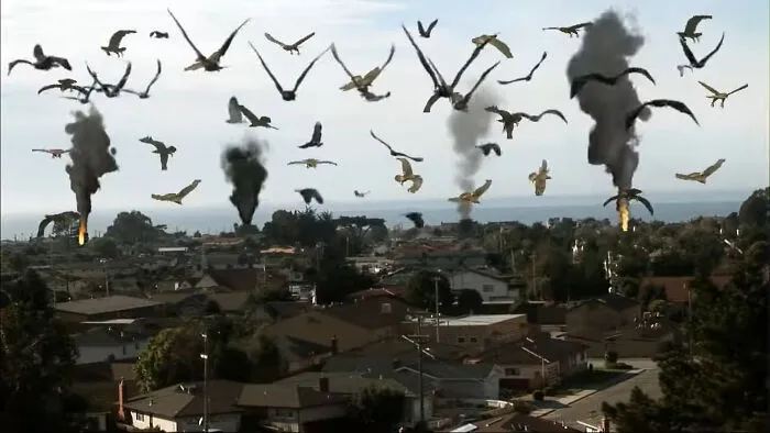 Birdemic: Shock And Terror (2010)