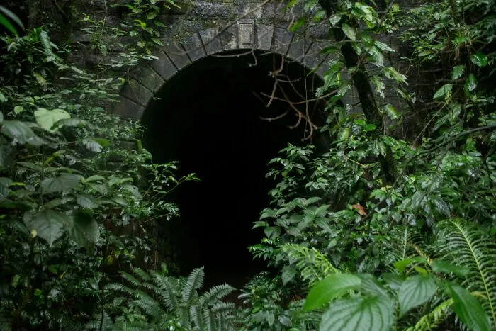 37 Underground Workers Share The Most Disturbing Stories, And They’re Not For The Faint Of Heart