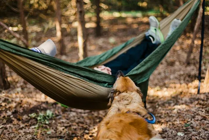 50 People Share Their Terrifying Unexplainable Experiences Out In The Woods