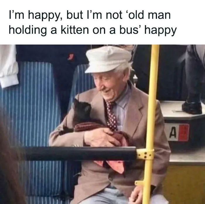 Elderly man warmly holding a kitten on a bus, capturing a heartwarming story to cleanse your feed from negativity.