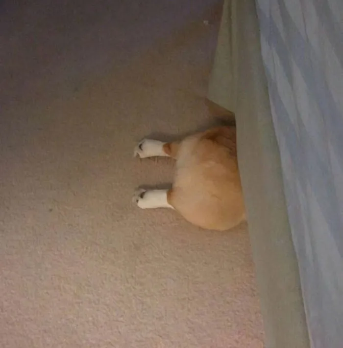 Derpy Baby