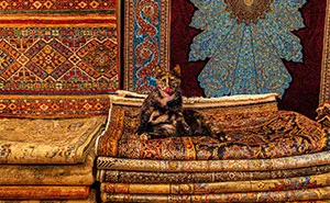 I Captured 30 Photos Revealing The Spirit Of Istanbul