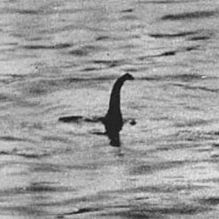 Black and white photo of a mysterious lake creature resembling a dinosaur in water, linked to strange unexplained histories.
