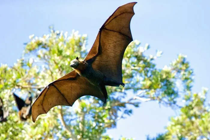 20 Things Sewer Workers Found While Down Under That Weren’t Supposed To Be There