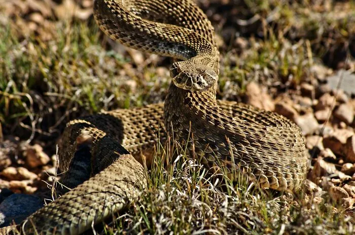 50 People Share Their Terrifying Unexplainable Experiences Out In The Woods