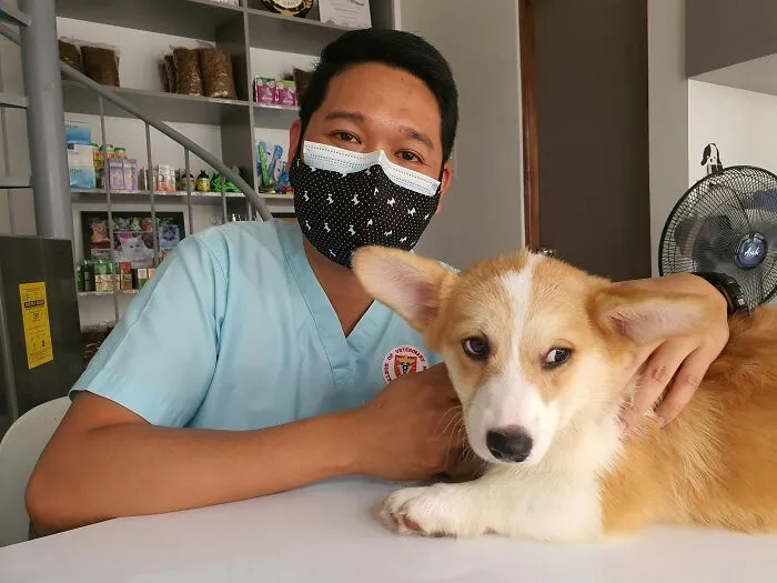 "What Would You Warn Someone Before They Got Your Type Of Pet?": 46 Honest Tips From Our Community