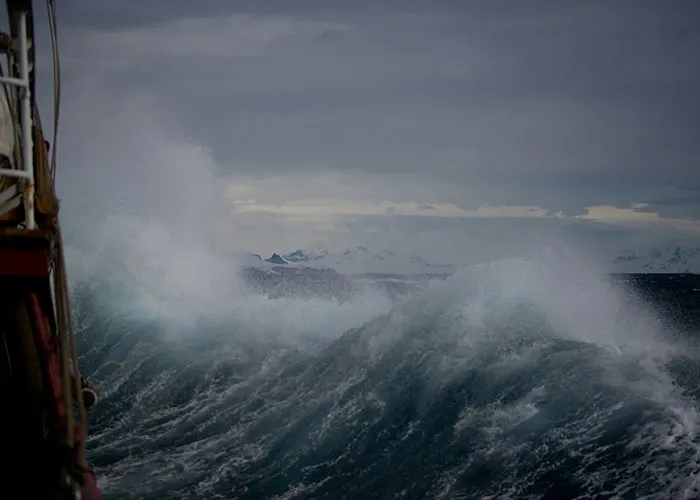 46 Eerie And Interesting Facts, As Shared By These Science-Savvy People Online