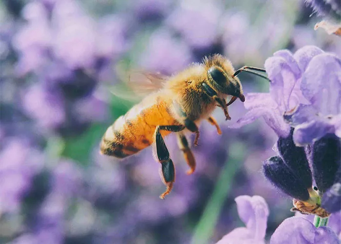 46 Eerie And Interesting Facts, As Shared By These Science-Savvy People Online