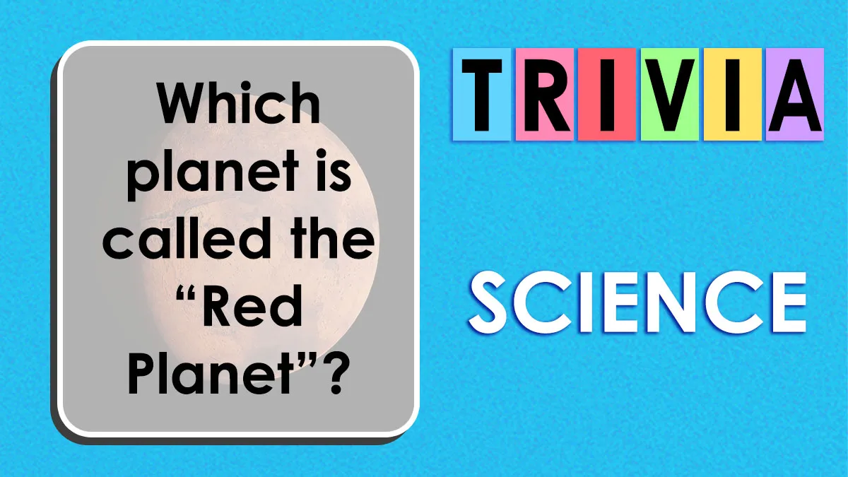 This ‘Match The Question To The Answer’ Science Quiz Stumps Everyone - Try To Score 26/26