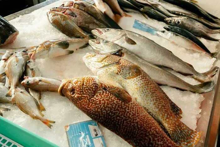 47 Times Health Inspectors Were Not Prepared For The Sight They Would Be Exposed To