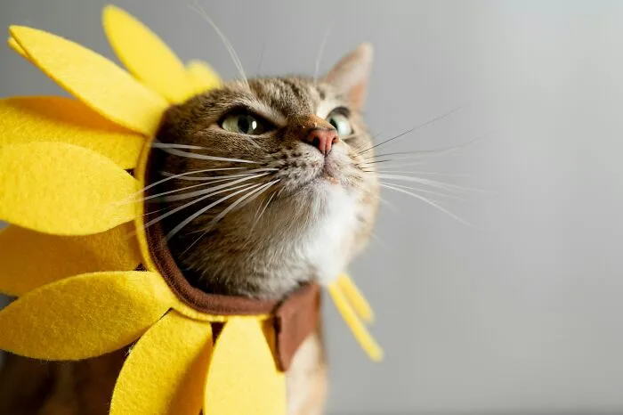 32 Little Sounds That Make People Livid For No Logical Reason