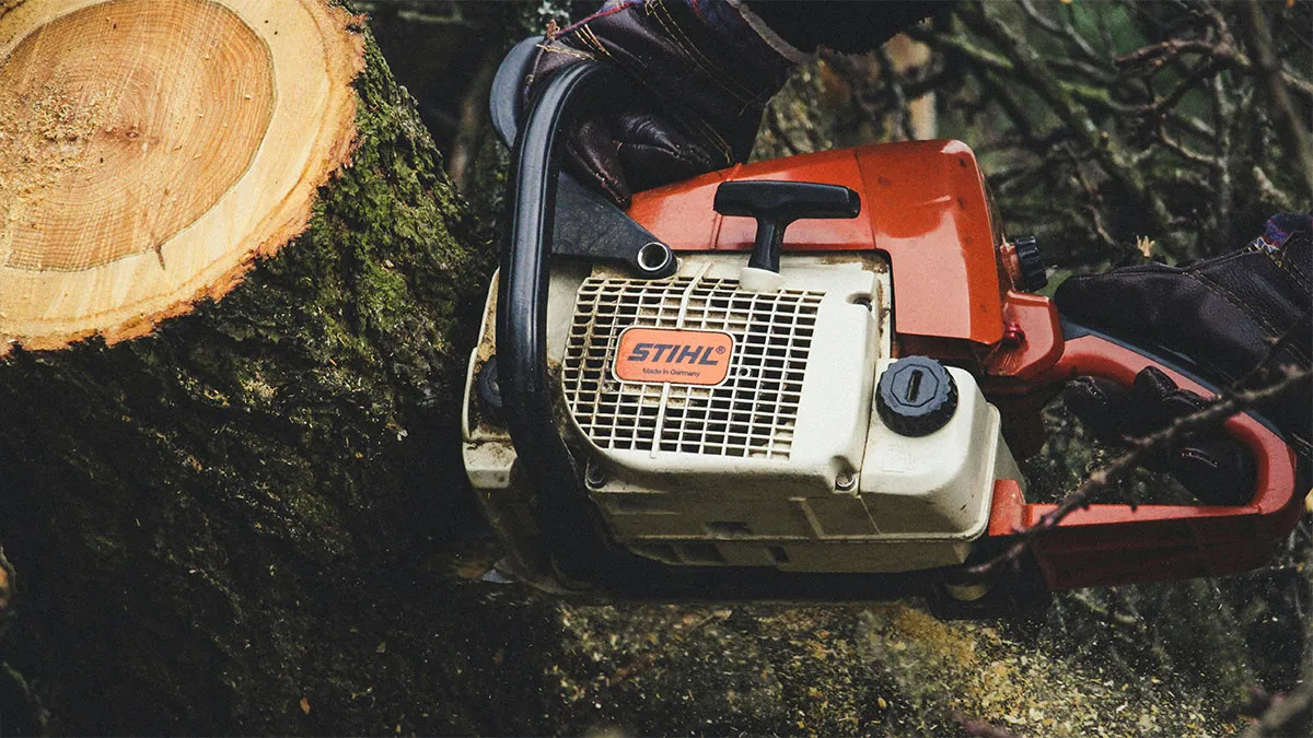 Neighbor Demands $2K After Illegally Cutting Down Two Trees, Ends Up Paying $190K Instead