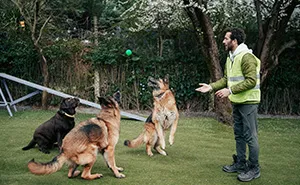Neighbor Claims “They’re Just Doing Their Job” As Their Dogs Go Absolutely Wild, Woman Lets Cameras Handle It