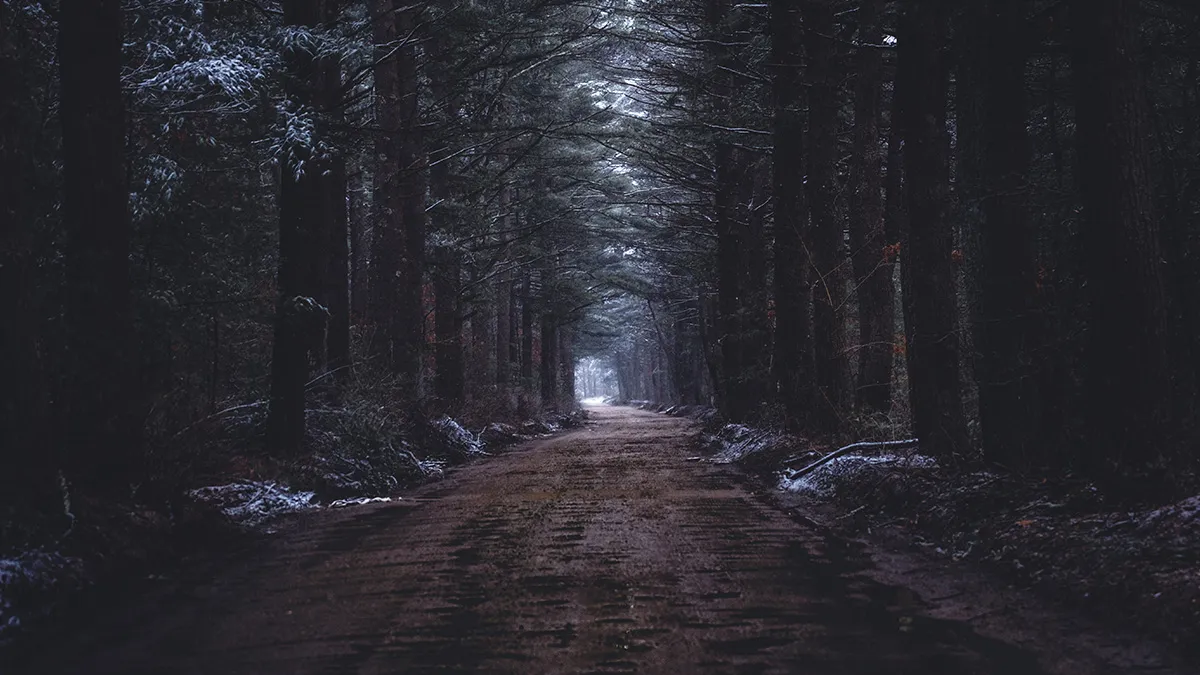 43 People Share Chilling Stories Of Things They Witnessed Or Experienced
