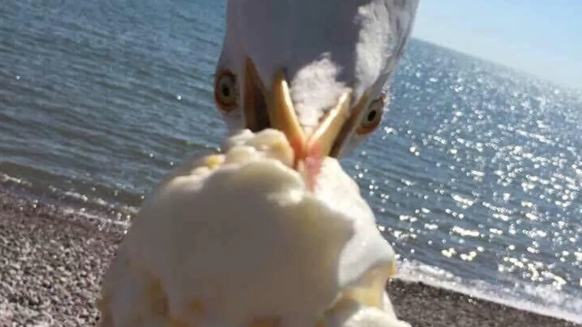 50 Times People Tried To Take A Pic And Ended Up With A Way Better Shot Than They Expected