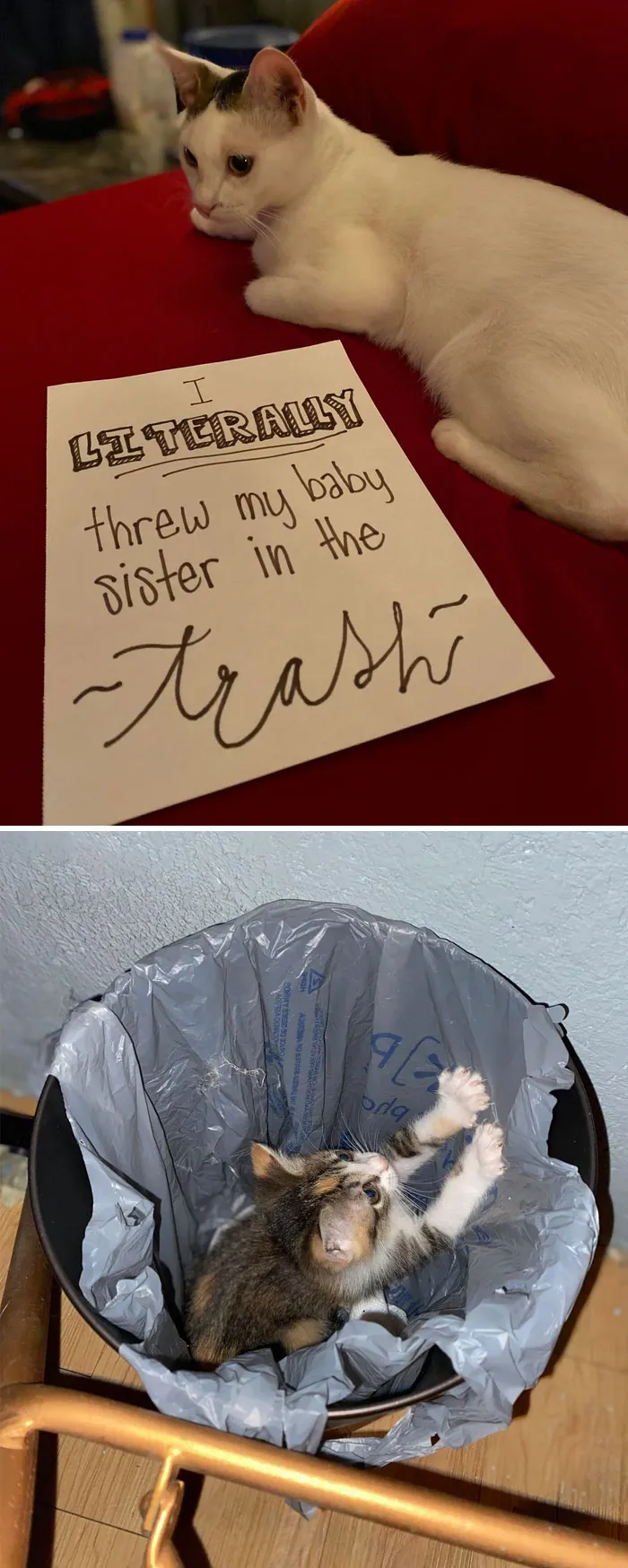 And He’ll  Do It Again