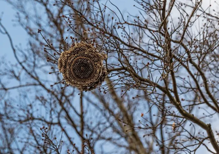 50 People Share Their Terrifying Unexplainable Experiences Out In The Woods