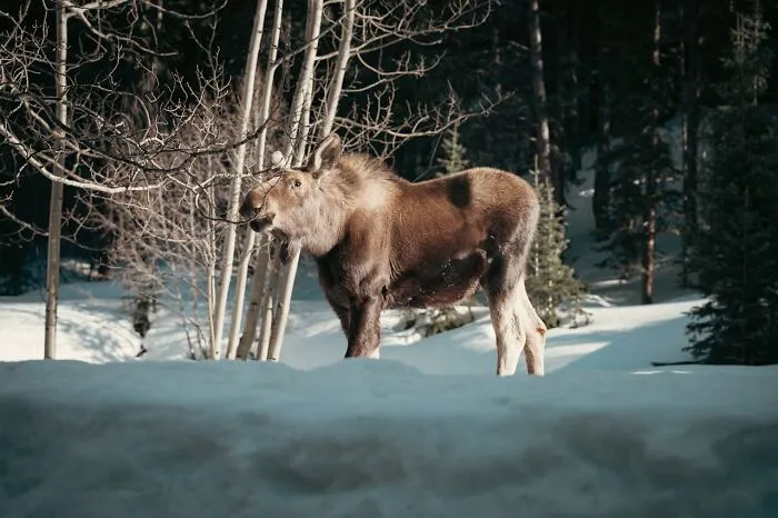 50 People Share Their Terrifying Unexplainable Experiences Out In The Woods