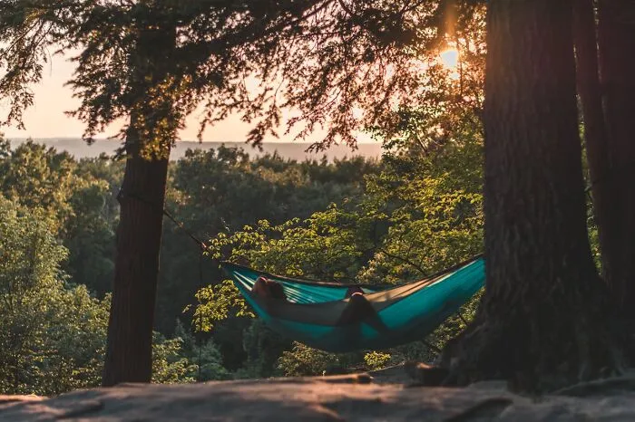 50 People Share Their Terrifying Unexplainable Experiences Out In The Woods