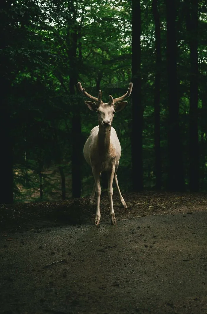 “That’s A Morgue Tag”: 35 Creepy Stories That Are Even More Unsettling When Told At Night