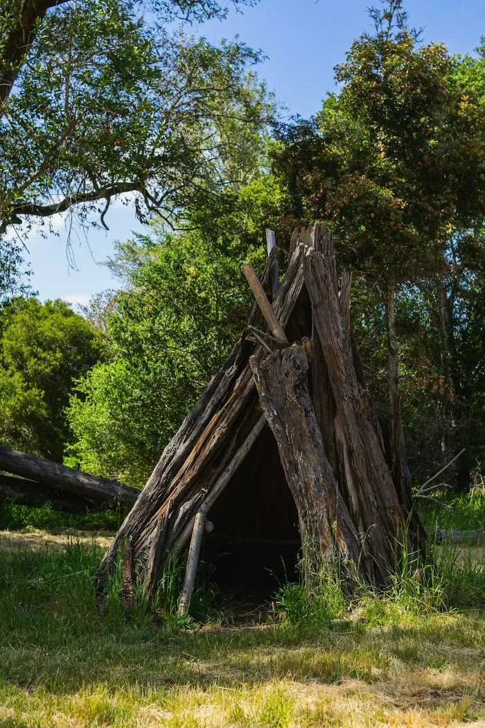 50 People Share Their Terrifying Unexplainable Experiences Out In The Woods