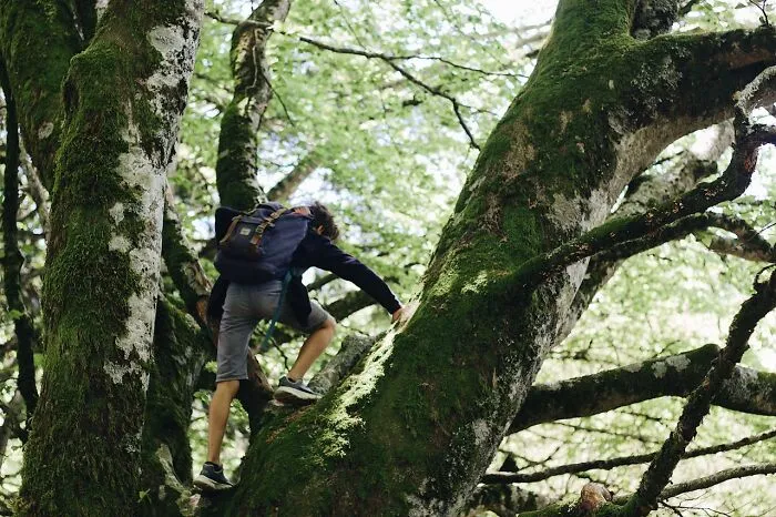 50 People Share Their Terrifying Unexplainable Experiences Out In The Woods