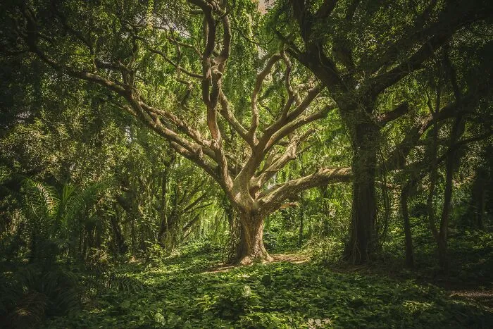  36 Random Incidents That Were So Unexplainable People Started Believing In Witchcraft