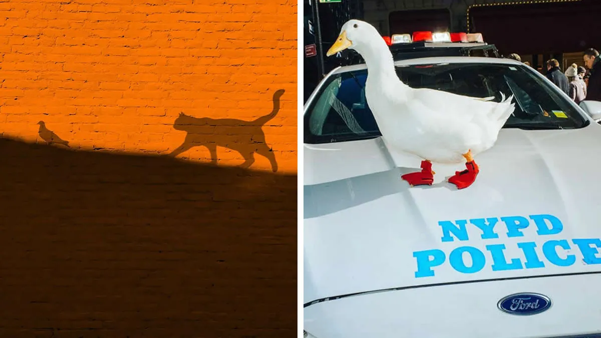 This Instagram Account Proves Photography Is More Than Just A Picture, And These 50 Pics Show Why