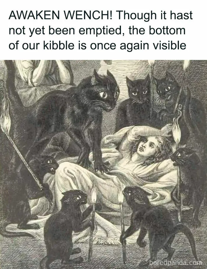 50 Hilarious Archeology And History Memes That Actually Make Learning Fun
