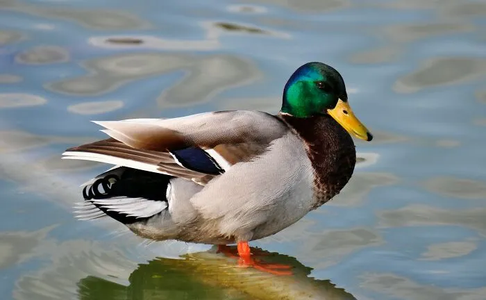 48 Times People Dated Such Stupid People They Had To Wonder How They Survived To Adulthood
