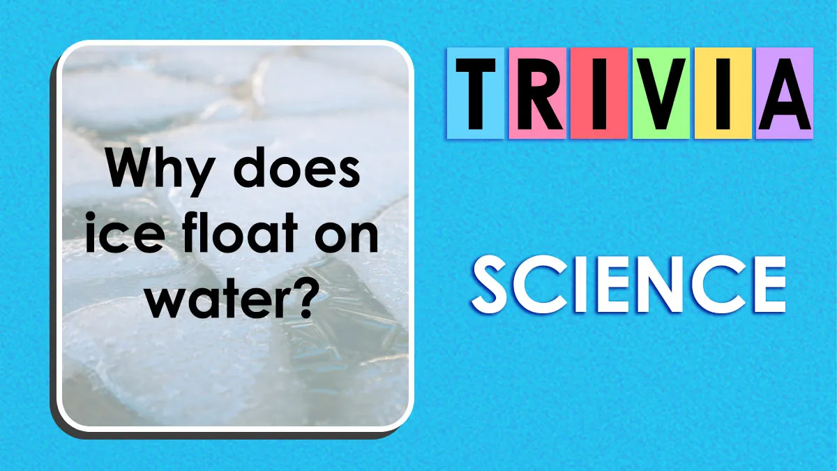 30 Science Secrets Hidden In Plain Sight: The Everyday Mysteries Quiz