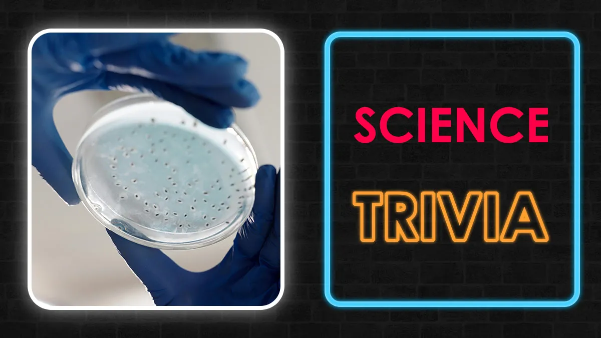 Logical Thinking Is Required For This 30-Question Science Quiz: Prove Yourself
