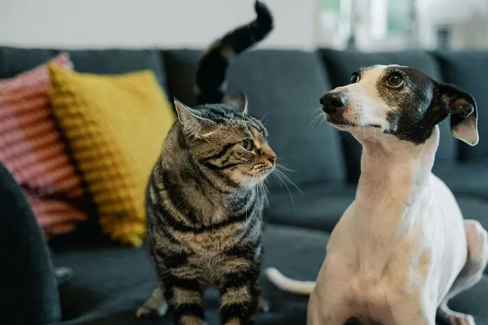 "That's Advanced Stupid": 46 People Share How They Were Baffled By Someone's Sheer Ignorance