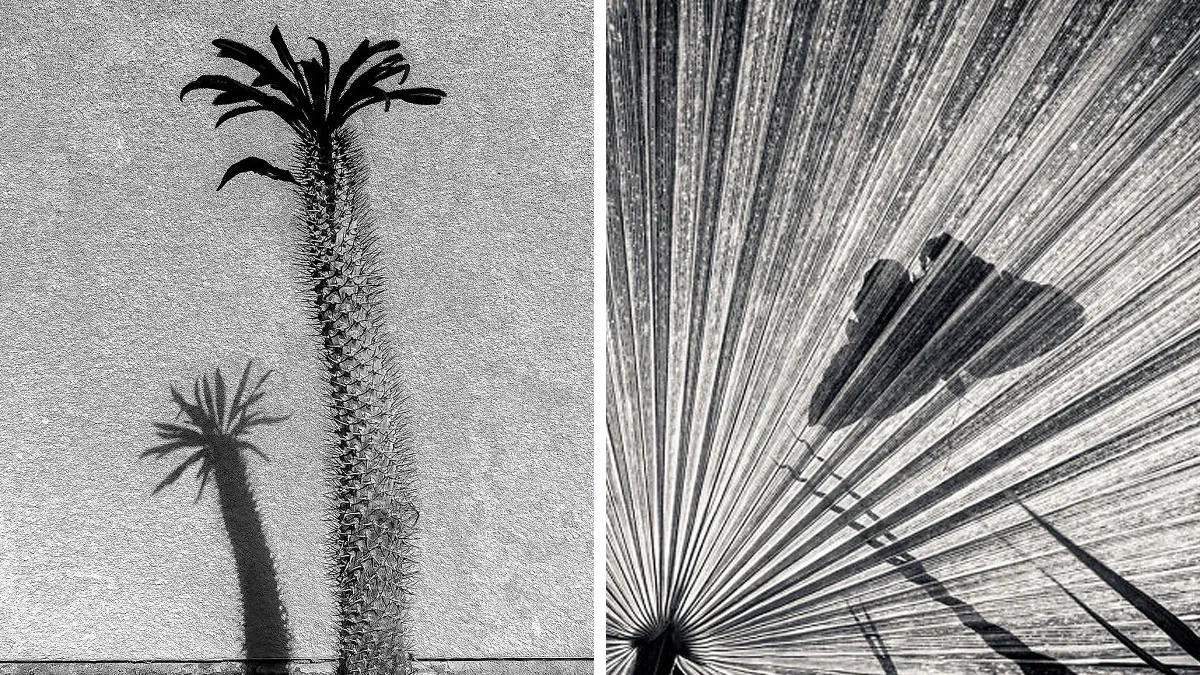 Here's The 25 Winners Of AAP Magazine Contest “Shapes”