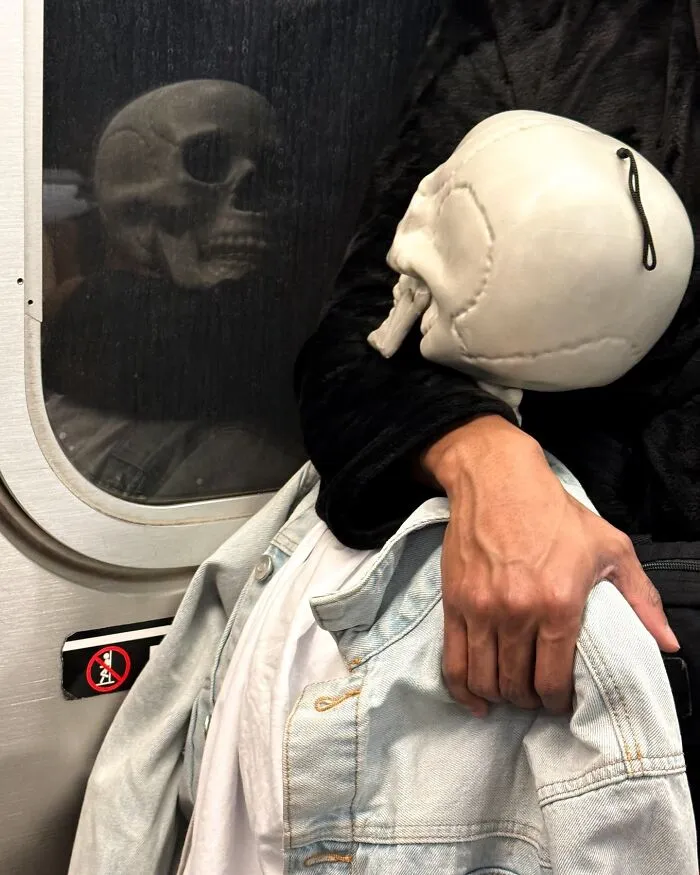 New York Subway Has The Most Unusual Passengers Carrying These 50 Things In Their Hands