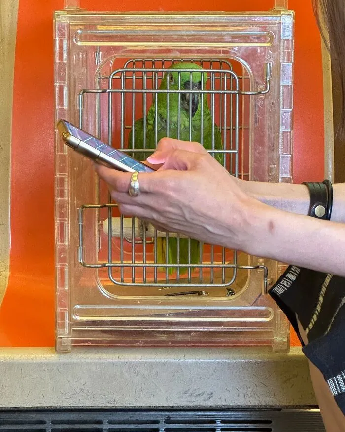 New York Subway Has The Most Unusual Passengers Carrying These 50 Things In Their Hands