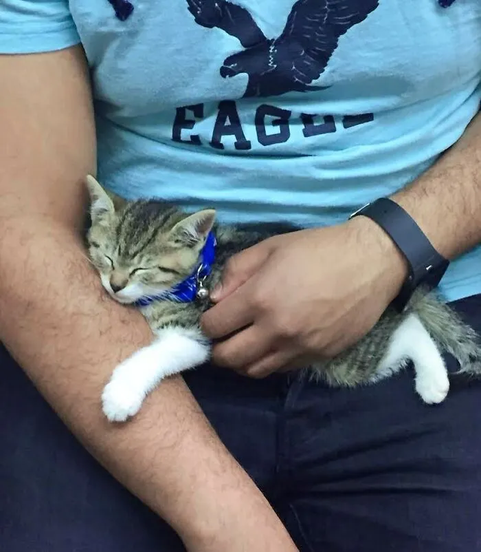 New York Subway Has The Most Unusual Passengers Carrying These 50 Things In Their Hands