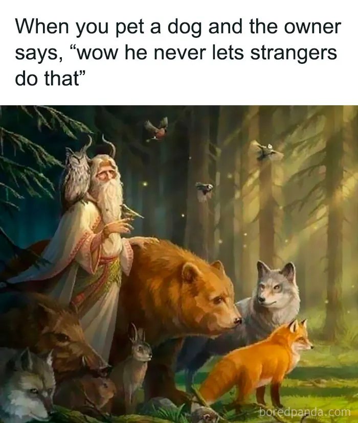 50 Times People Added Modern Captions To Old Paintings And Created Comedy Gold