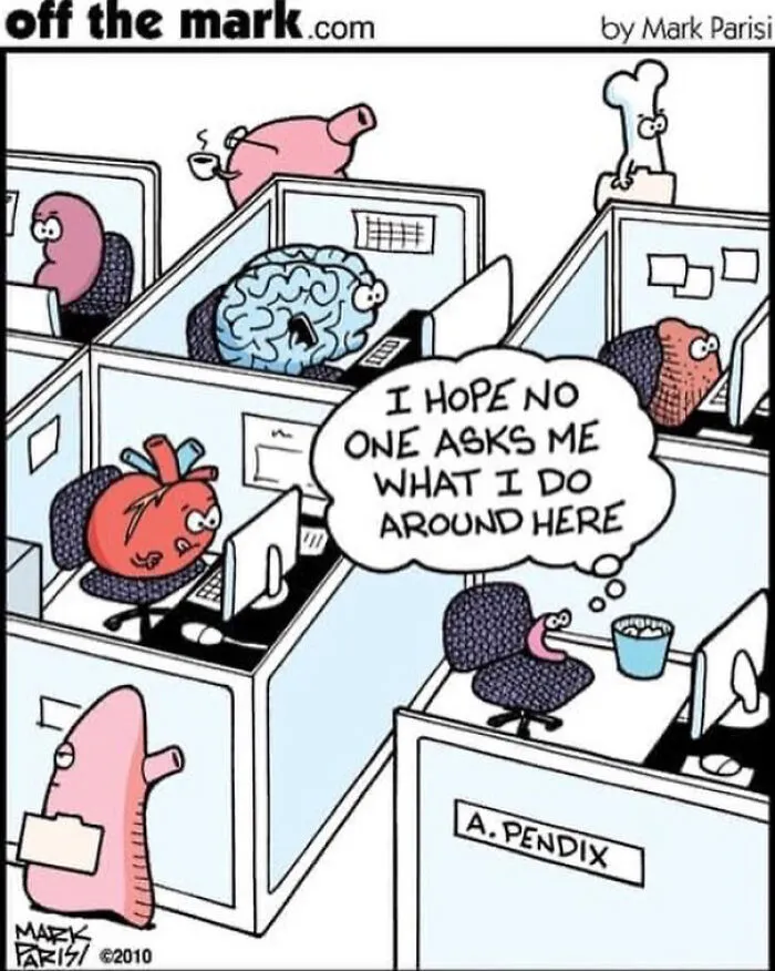 The 30 Best Cartoons By Mark Parisi That Turn Everyday Moments Into Comedy Gold