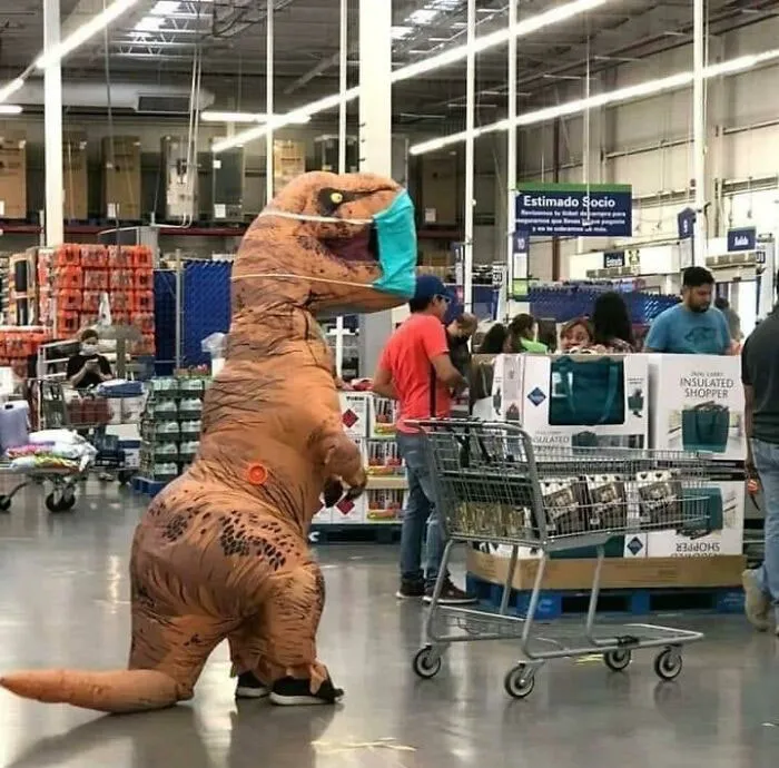 This Guy Is Definitely Safe